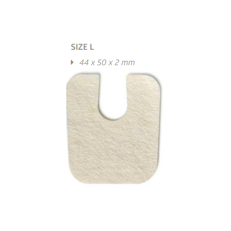 At Nalı Keçe (36lı)